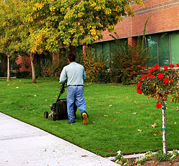 Lawn Care